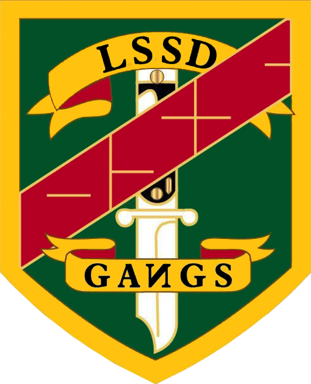 Escudo Derecho